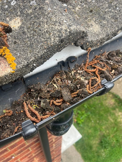 blocked downpipe